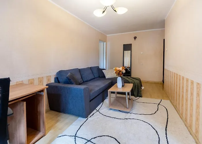 In The Center Of Mustamaee Apartament *