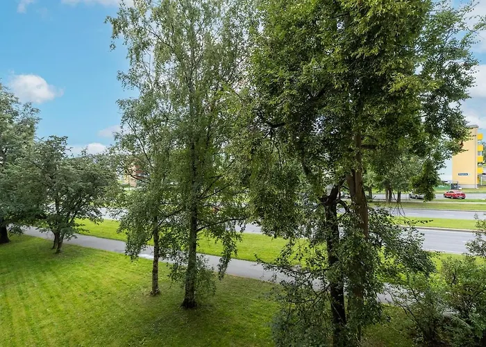 Apartament In The Center Of Mustamaee