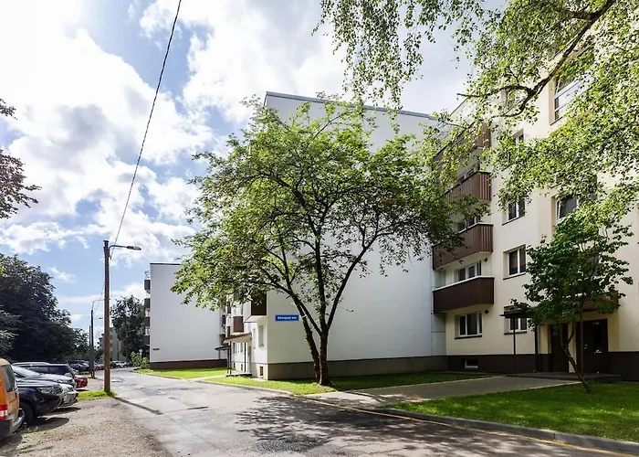 In The Center Of Mustamaee *